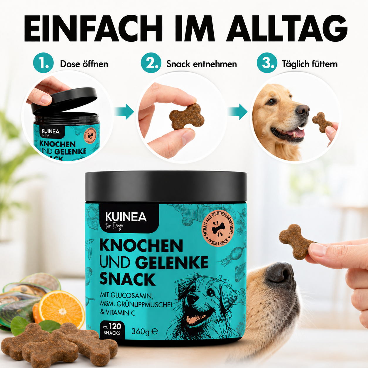KUINEA for Dogs – Knochen & Gelenke Snack (120 Soft Chews, 360 g)