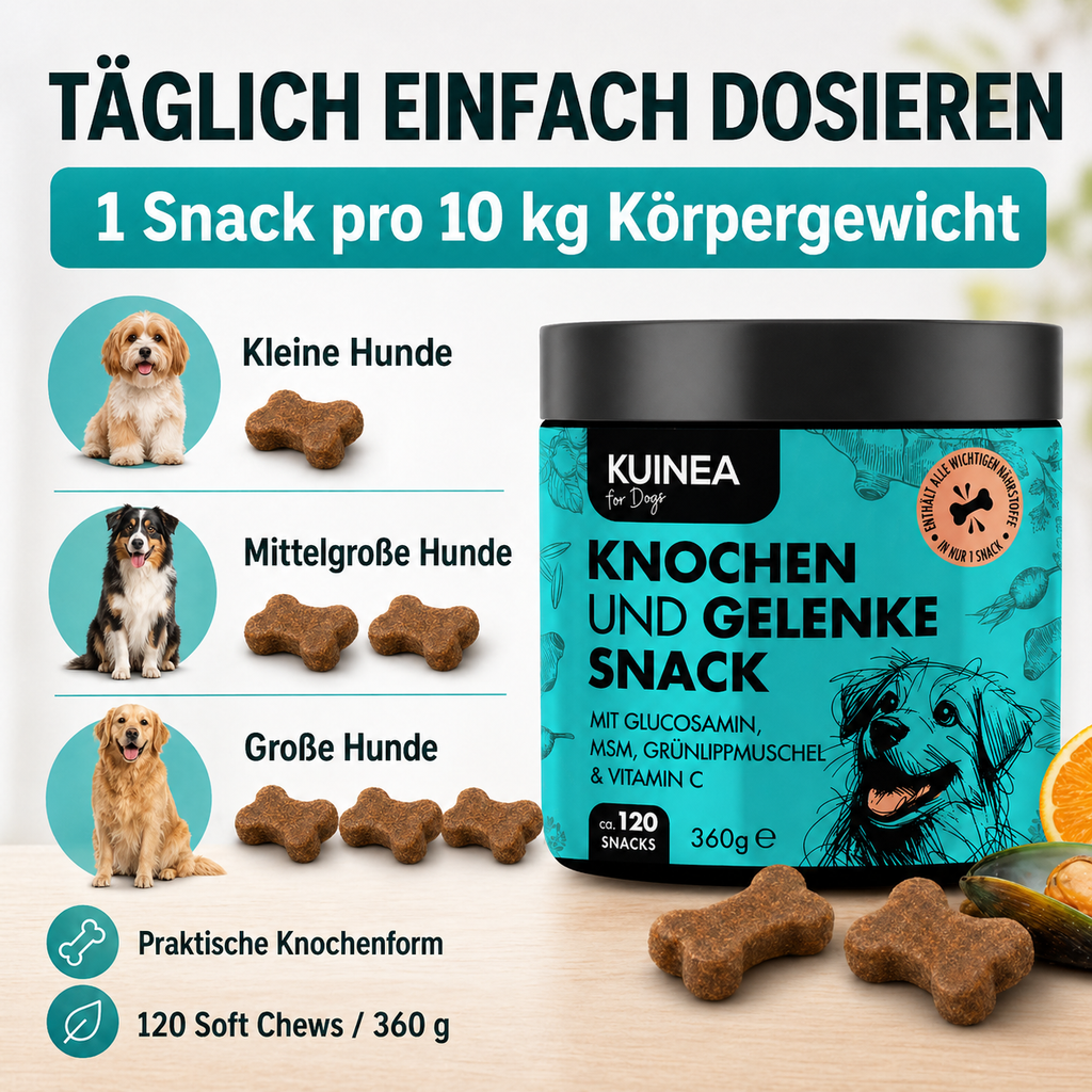 KUINEA for Dogs – Knochen & Gelenke Snack (120 Soft Chews, 360 g)
